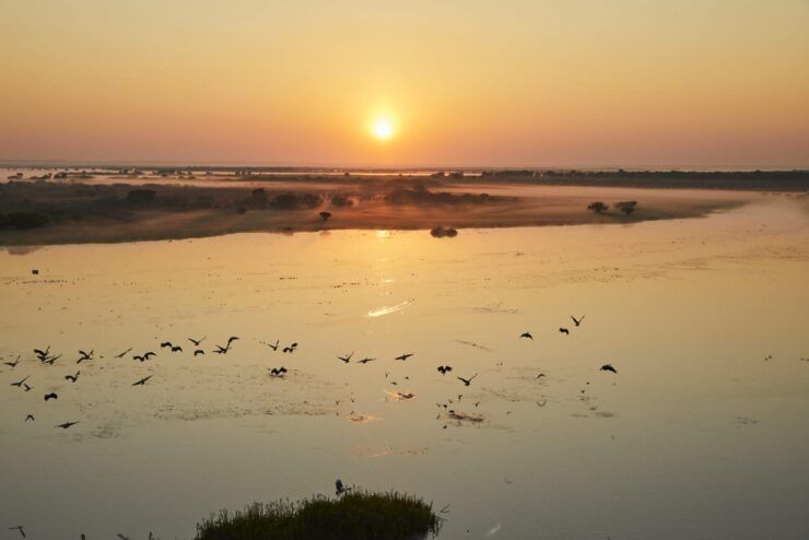 10.19 AACo La Belle Sunset HighRes 05 bingo plus rewards points free codes